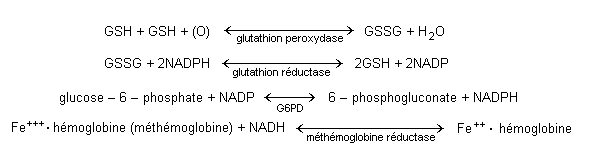 Figure 1.1