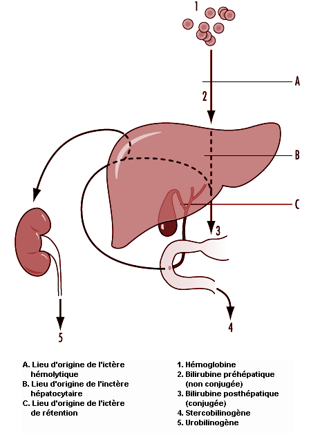 Figure 4.1