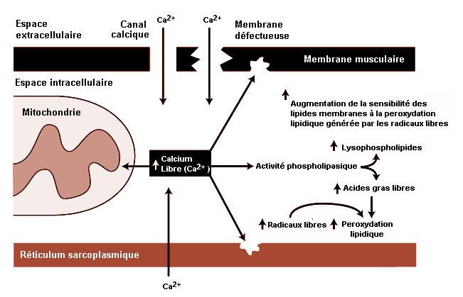 Figure 6.2