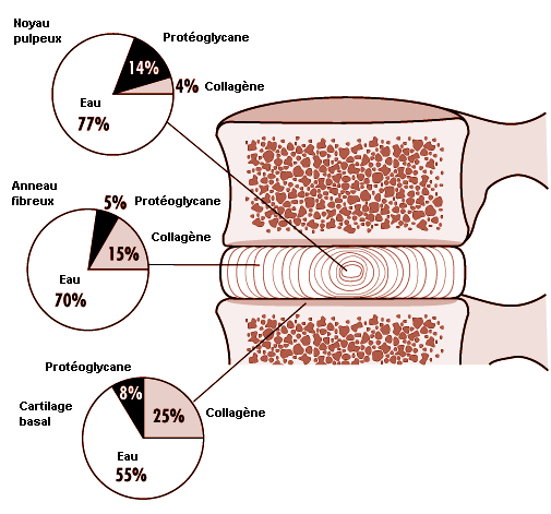 Figure 6.5