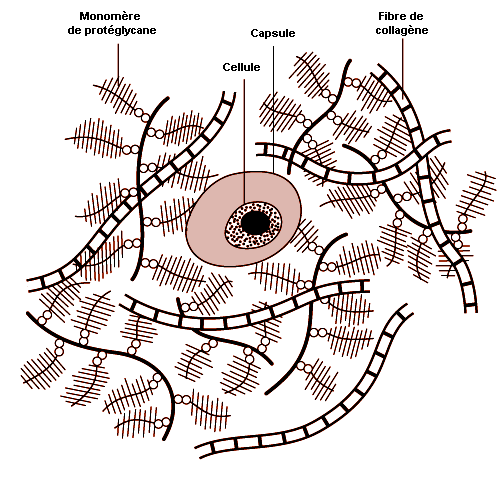 Figure 6.6