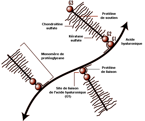 Figure 6.7