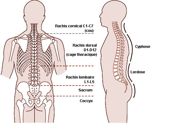 Figure 6.10