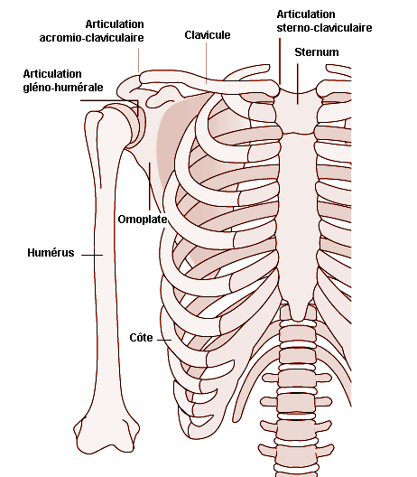 Figure 6.16