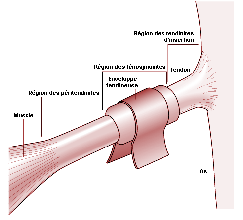 Figure 6.20