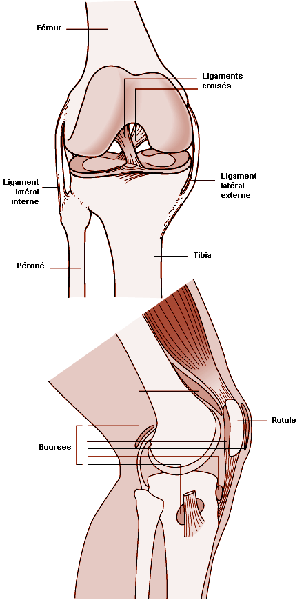 Figure 6.21