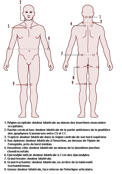 Main : anatomie, schéma, os, maladies, examens