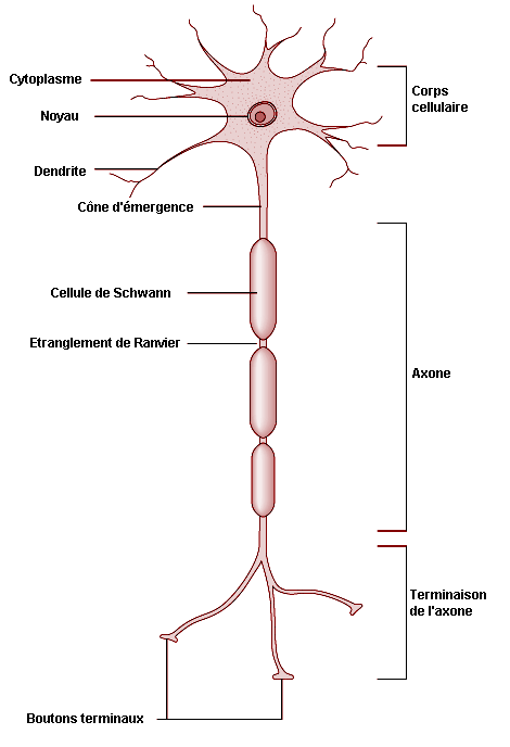 Figure 7.1