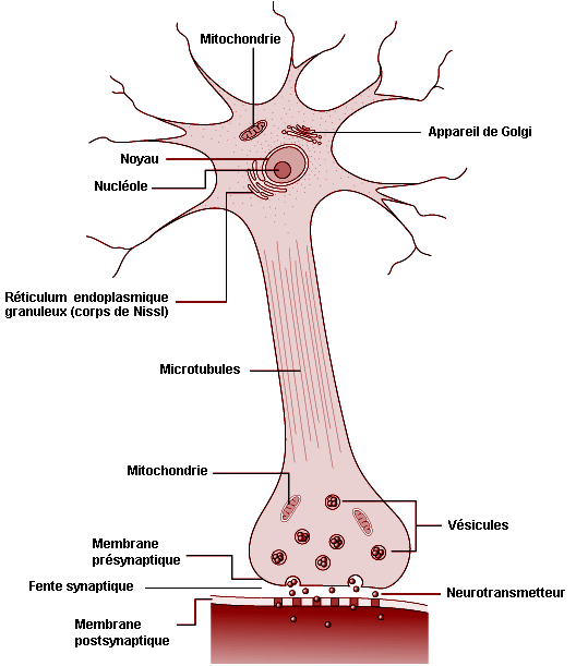 Figure 7.2