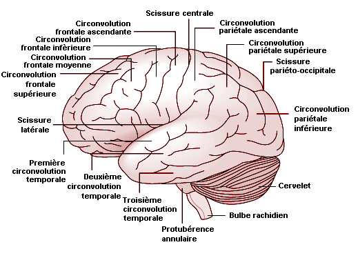 Figure 7.4