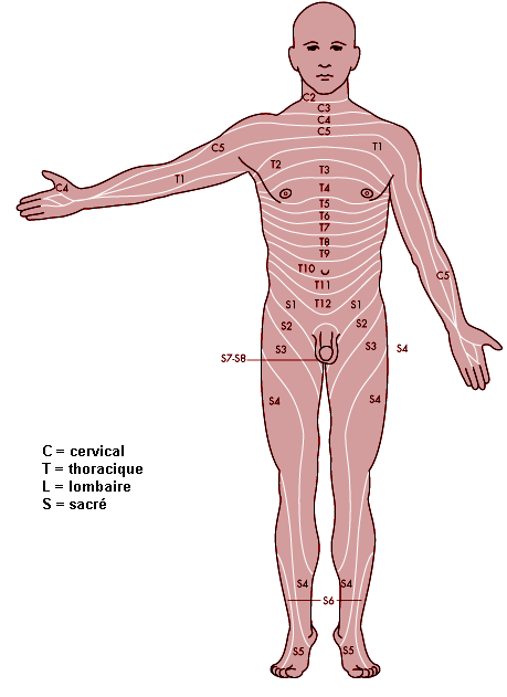 Figure 7.5