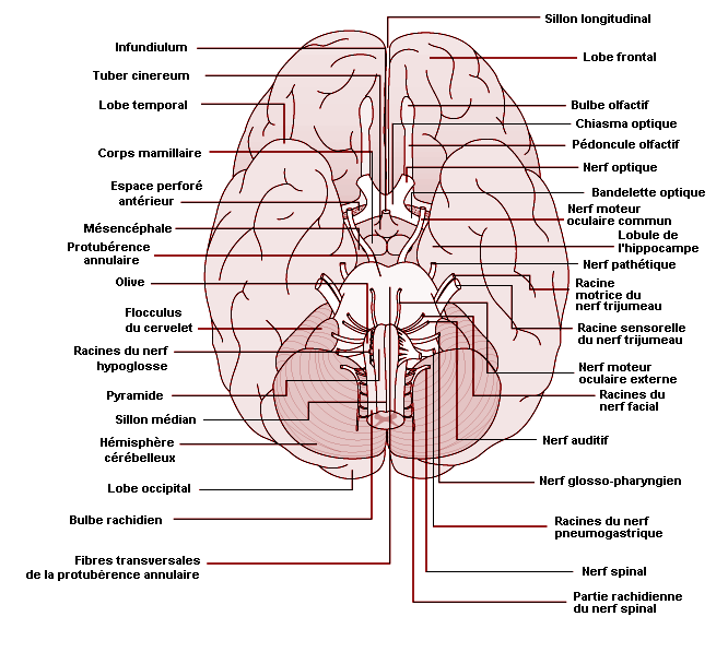 Figure 7.6