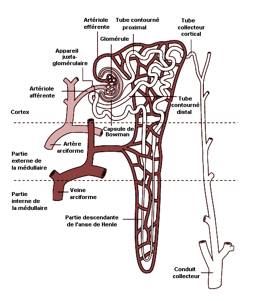 Figure 8.1