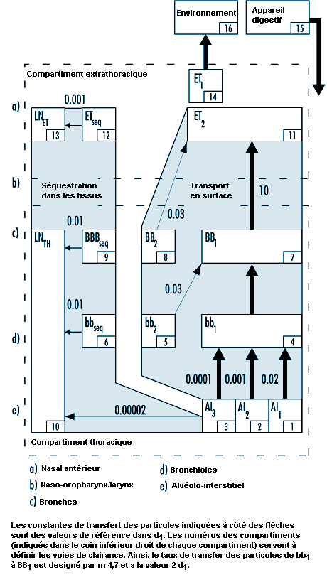 Figure 10.3