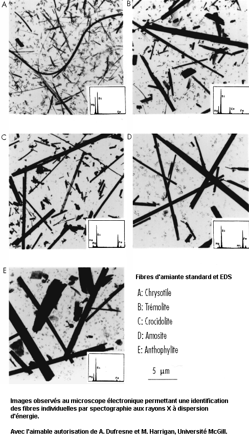 Figure 10.17