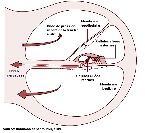 Figure 11.2