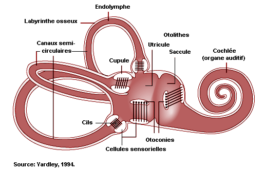 Figure 11.6