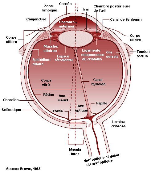 Figure 11.8