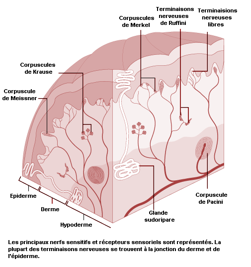 Figure 11.19