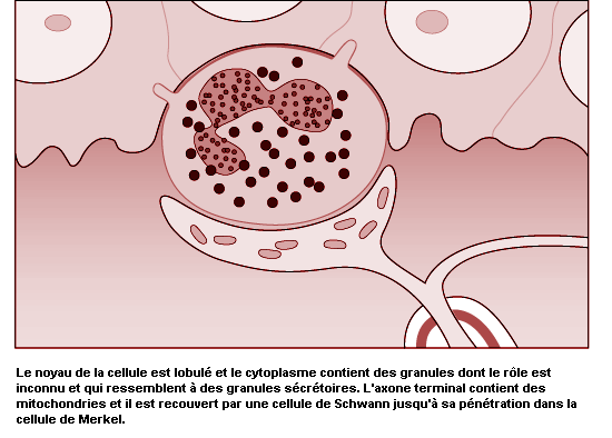 Figure 11.21