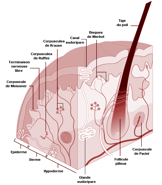 Figure 12.1