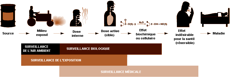 Figure 27.1