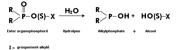 Figure 27.8