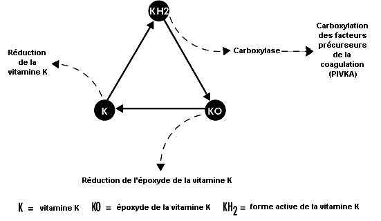 Figure 27.10