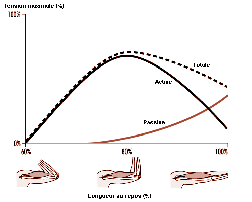 Figure 29.16