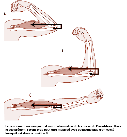 Figure 29.17