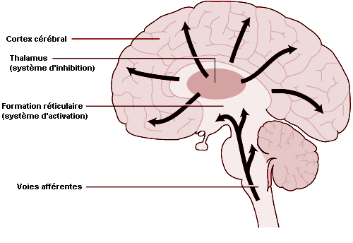 Figure 29.20