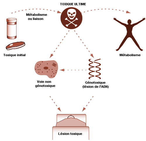 Figure 33.6