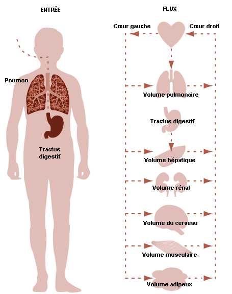 Figure 33.7