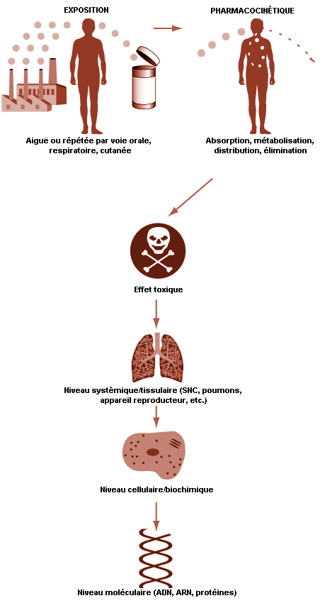 Figure 33.8