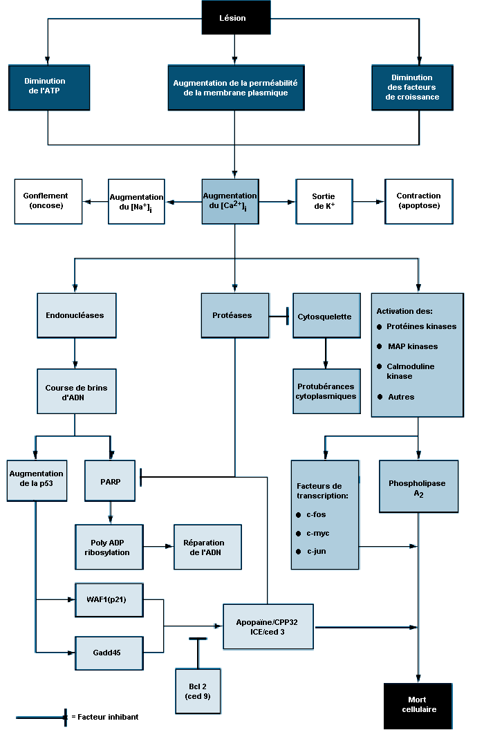Figure 33.9