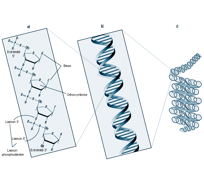 Figure 33.10