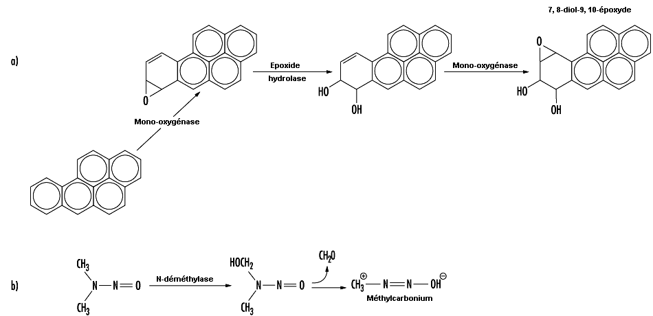 Figure 33.11