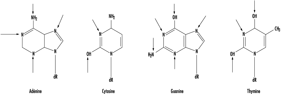 Figure 33.12