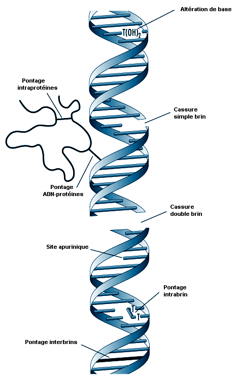 Figure 33.13