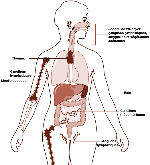 Figure 33.14