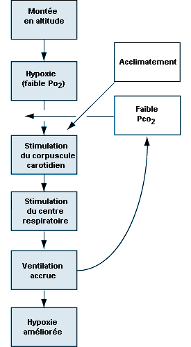 Figure 37.2