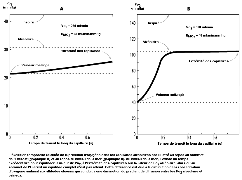 Figure 37.7