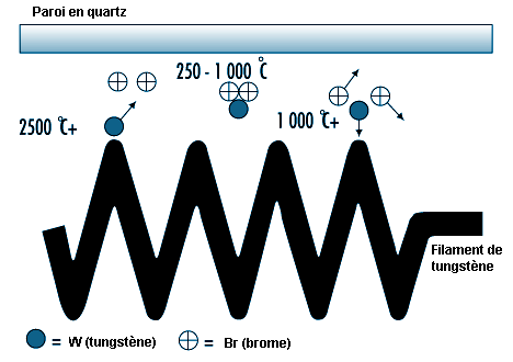 Figure 46.2