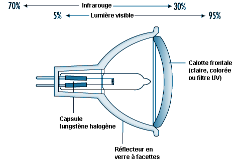 Ampoule en plastique d'éclairage ultraviolet DEL de Globe Electric