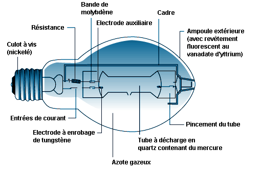 Comment utiliser un luxmètre pour accroître les rendements du