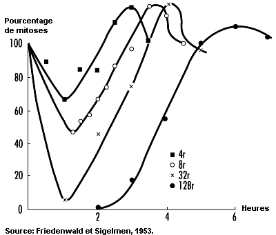 Figure 48.5