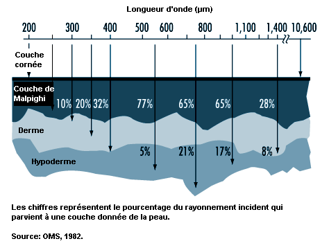 Figure 49.6