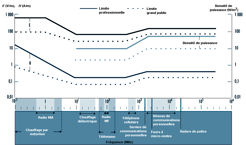 Première observation de cellules vivantes qui réagissent aux champs  magnétiques