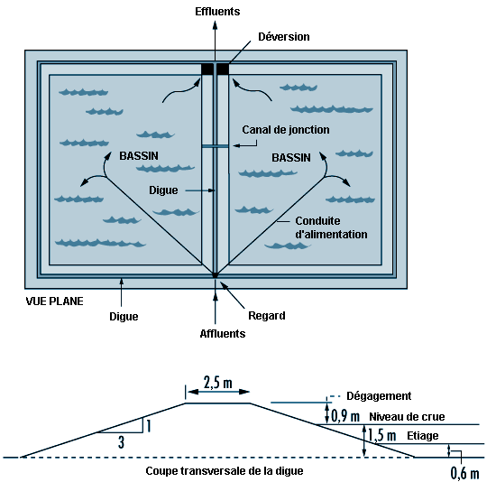 Figure 55.41