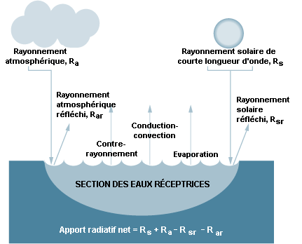 Figure 55.17